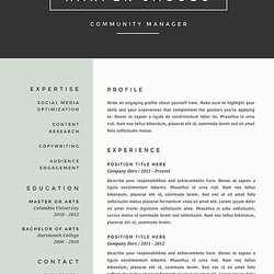 Eminent Best Resume Templates Images On Creative Curriculum Format