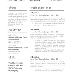 Magnificent Modern Resume Template Ms Word Pages Brown