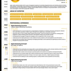 Exceptional Best Job Winning Templates For Download Edit Template Modern Vitae Curriculum Resume Format