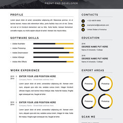 Great Modern Resume Word Template Ms Classic
