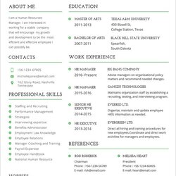 Professional Resume Template Free Samples Examples Format Hr Word