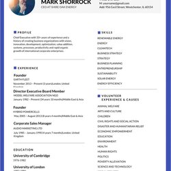 Admirable Most Professional Editable Resume Templates For