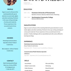 Most Professional Editable Resume Templates For Best Template Format Sample Word Business Choose Board