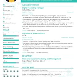 Cool Best Resume Formats For Professional Templates Format Choose Template Latest Good Examples Marketing