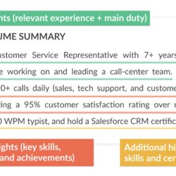 Tremendous Se Professional Resume Summary Example