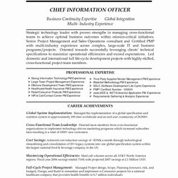 Champion Writing Killer Resume Summary Statement Free Samples Examples Fit