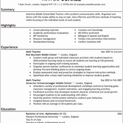 Resume Summary Section Examples