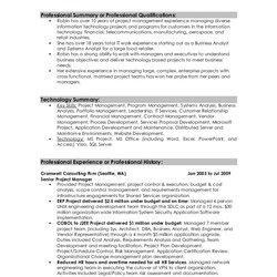 Out Of This World Best Professional Summary Resume Examples Project Manager Basic Sample Template Overview