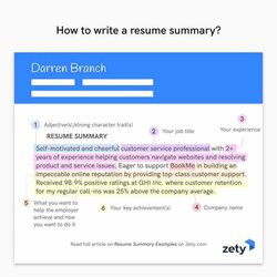 Superior Professional Resume Summary Examples Statements