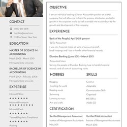 Out Of This World Banking Resume Templates In Word Template Professional Investment Sample Resumes Position