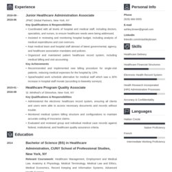 Resume Example Template Vibes Examples Job