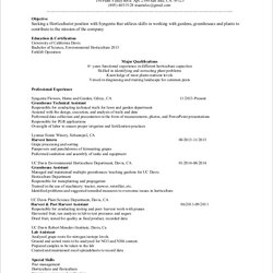 Excellent Free Sample Entry Level Resume Templates In Ms Word Job Resumes Format