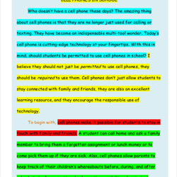 The Highest Quality High School Essay Examples Format Persuasive Samples Education
