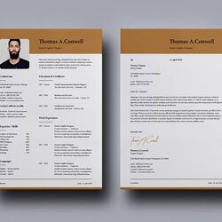 Sublime Free Modern Resume Template Download Opportunity