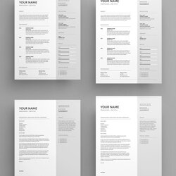 Champion Best Resume Templates Letter Cover Contemporary Layout Clean Simple Creatives Outstanding Documents