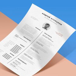 Superior Free Resume Template In Format Daily