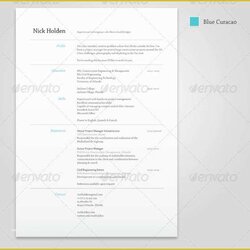 Brilliant Resume Template Free Download Of Best Simple Shop Amp Templates