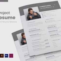Best Resume Templates Free Theme Junkie