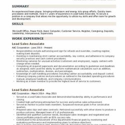 Out Of This World Lead Sales Associate Resume Samples Build