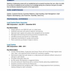 Download Free Lead Cashier Sales Associate Resume Word Template