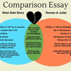 Cool How To Write Comparison Essay Normal Peachy Writing