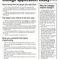 Champion College Application Essay Examples Format Formal