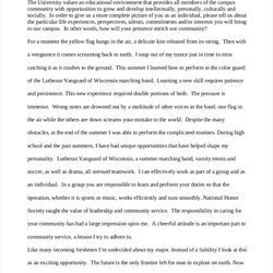 Sublime College Essay Examples In Application Example Entry