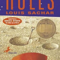 The Highest Standard Holes By Louis English Book Free Shipping