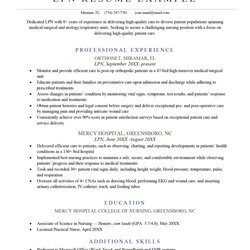 Wizard Resume Example Free Sample For Download Template