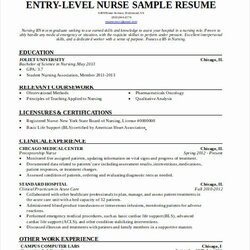 Sublime Entry Level Resume Best Of Format Word Examples Graduate Nurse