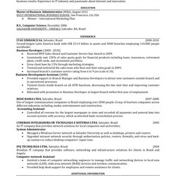 Great One Page Resume For Download