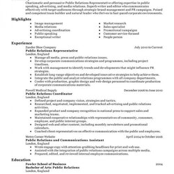 One Page Resume Examples Template Business Relations Public Example Marketing Resumes Create Good Self
