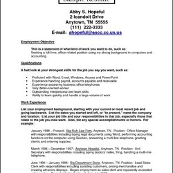 Cool Office Resume Examples Free Samples Format Job Qualifications